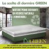 im green intero.jpg