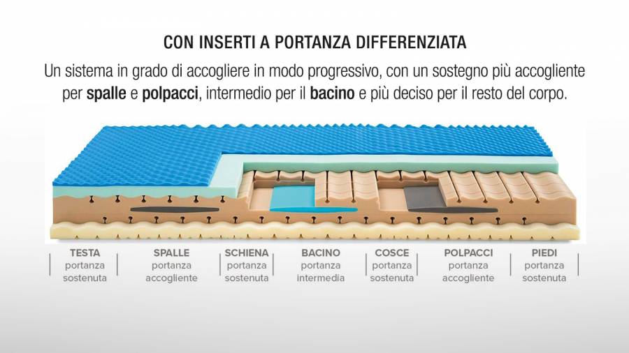 EN-DP Fisiotherapy